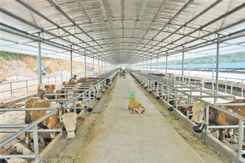 自贡养殖场圈舍喷雾消毒设备