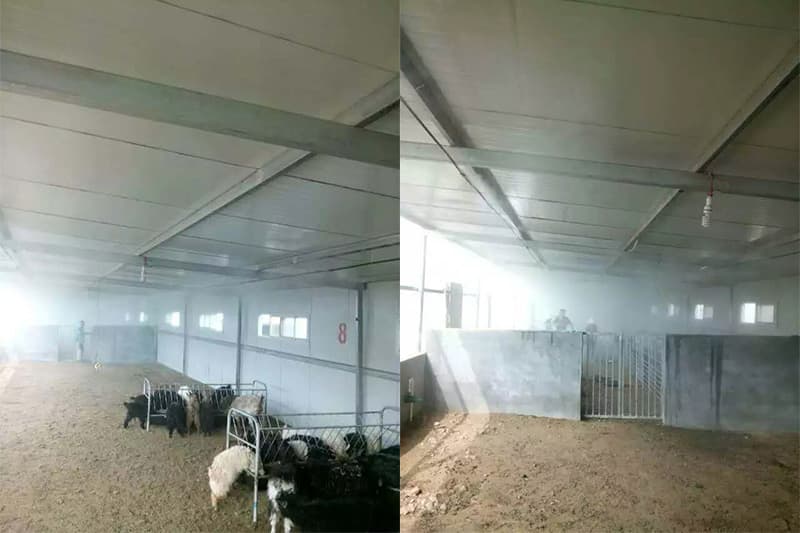 安阳林州羊场消毒项目